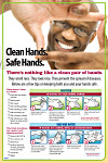 Clean Hands are Safe Hands Poster #405